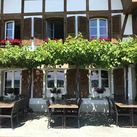 Alpenblick Ferenberg Bern بيت ضيافة Stettlen
