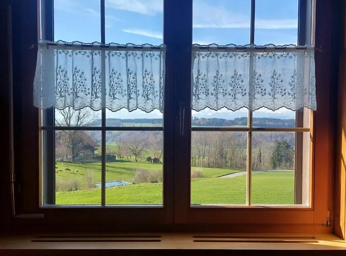 Alpenblick Ferenberg Bern 3*