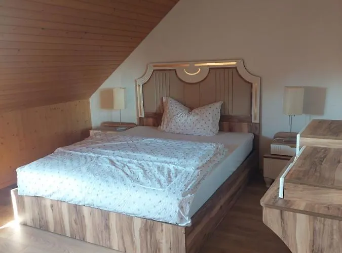 Alpenblick Ferenberg Bern Gæstehus 3*