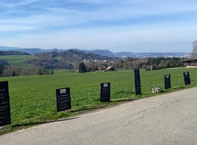 Gæstehus Alpenblick Ferenberg Bern 3*
