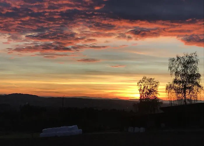 Gæstehus Alpenblick Ferenberg Bern 3*
