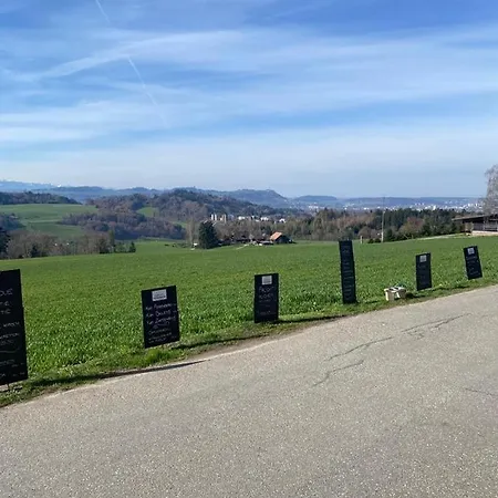 Guest house Alpenblick Ferenberg Bern 3*